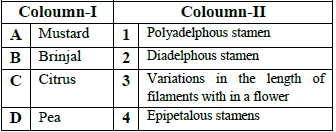 MCQs for Biology Class 11 with Answers Chapter 5 Morphology of Flowering Plants