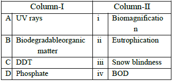 MCQs for Biology Class 12 with Answers Chapter 14 Ecosystem