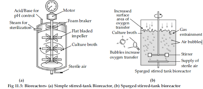 VBQs Class 12 Biology Biotechnology Principles and Processes