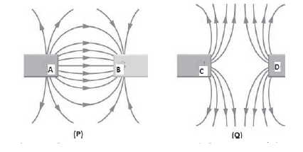 Sample Paper Class 10 Science Term 2 Set E