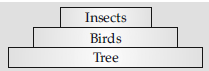 VBQs Class 12 Biology Ecosystem