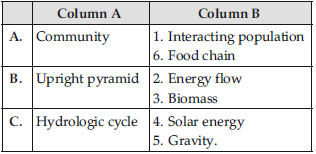 VBQs Class 12 Biology Ecosystem