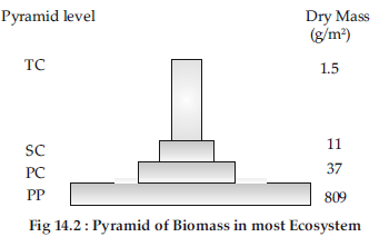 VBQs Class 12 Biology Ecosystem