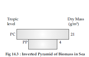 VBQs Class 12 Biology Ecosystem