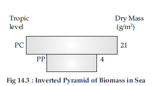 VBQs Class 12 Biology Ecosystem