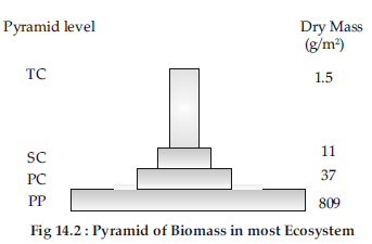 VBQs Class 12 Biology Ecosystem