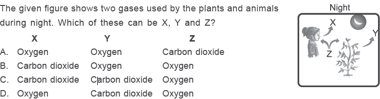 MCQs for Class 3 Science