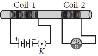 Sample Paper Class 10 Science Term 2 Set H